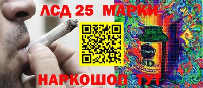 прущие грибы Можга