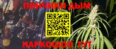 прущие грибы Можга