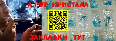 прущие грибы Можга