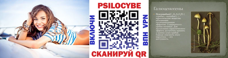 Псилоцибиновые грибы Cubensis  Светлоград 