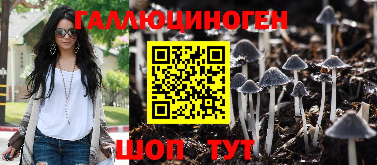 Псилоцибиновые грибы Psilocybe Светлоград