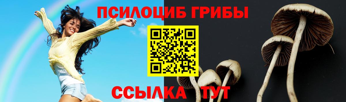 Светлоград  Галлюциногенные грибы мицелий  Вход с VPN  Галлюциногенные грибы Psilocybe 